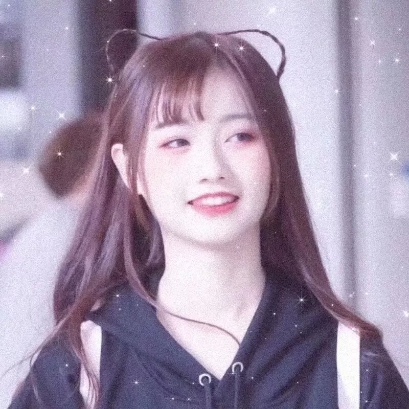 睡觉的笨蛋